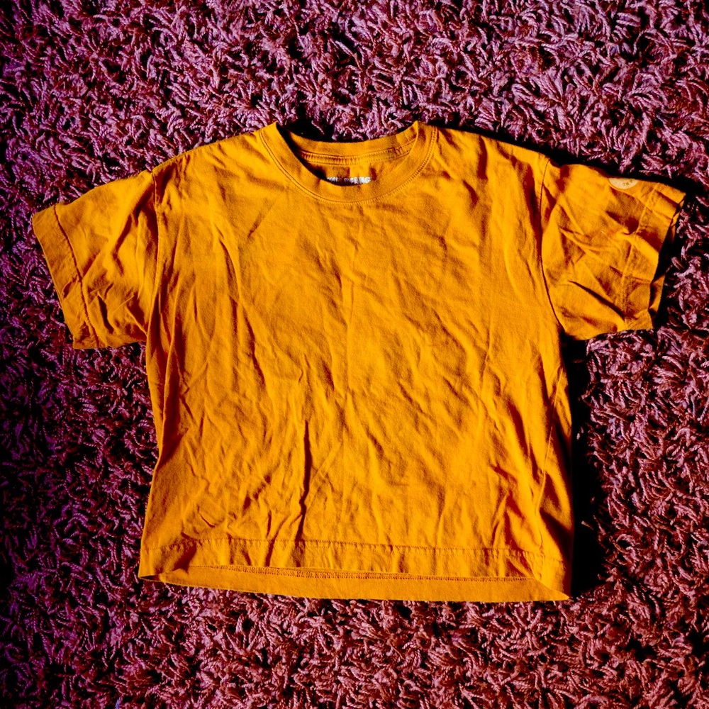 WILDFANG Burnt Orange Crop Tee